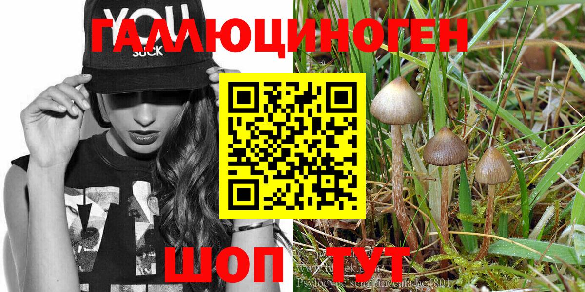 Псилоцибиновые грибы Magic Shrooms  Псилоцибиновые грибы GOLDEN TEACHER  Тулун  Вход с VPN 